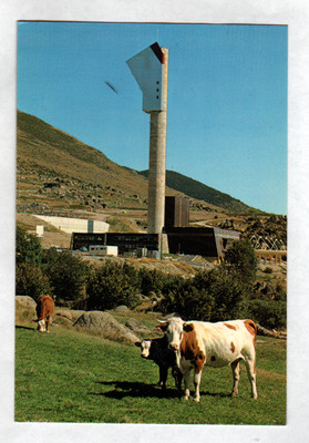TARGASONNE (66) RIND im THERMIS-ZENTRUM / WISSENSCHAFTLICHES FORSCHUNGSZENTRUM