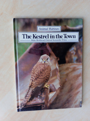 THE KESTREL IN THE TOWN - Mike Birkhead,Oxford Scientific - Animal Habitats