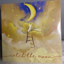 Catch the Moon Board Game - Bombyx Ladder Game New/Sealed