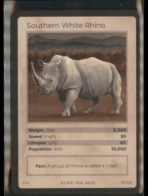 2023 Life TCG 1st Edition Holographic Southern White Rhino #35