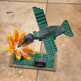 LEGO Ideas Birds 21301 Complete Set No Box