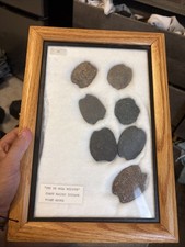 Ancient Coast Salish Stone Net Weights Bola Artifacts Puget Sound WA Native 6pc