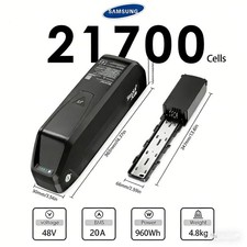 Electric Battery 48V 20Ah Lithium Ion Rear Motor Battery