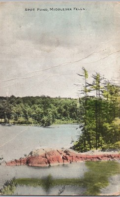 Spot Pond - Middlesex Fells Reservation Hand Colored Massachusetts Postcard