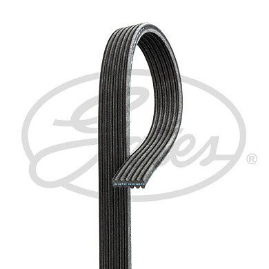 Gates 6DPK1225 V-Ribbed Belt Compatible with Fiat Lancia Models