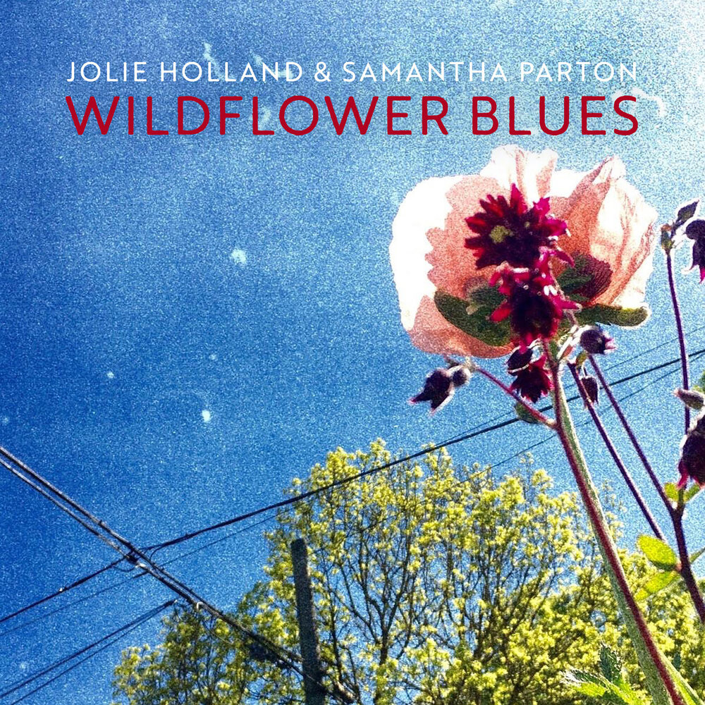 Jolie Holland & Samantha Parton Wildflower Blues (CD) Album