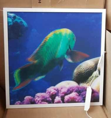 3D Marine Unterwasser Deckenpaneel Natural Lights, 40W - Weiß
