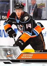 2019-20 Upper Deck AHL American Hockey League Base Insert or Auto Pick From List