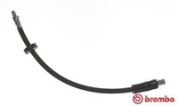 Bremsschlauch Brembo T 85 056 FüR C3 Audi 90 100 89 200 443 444 Avant 445 446 B3