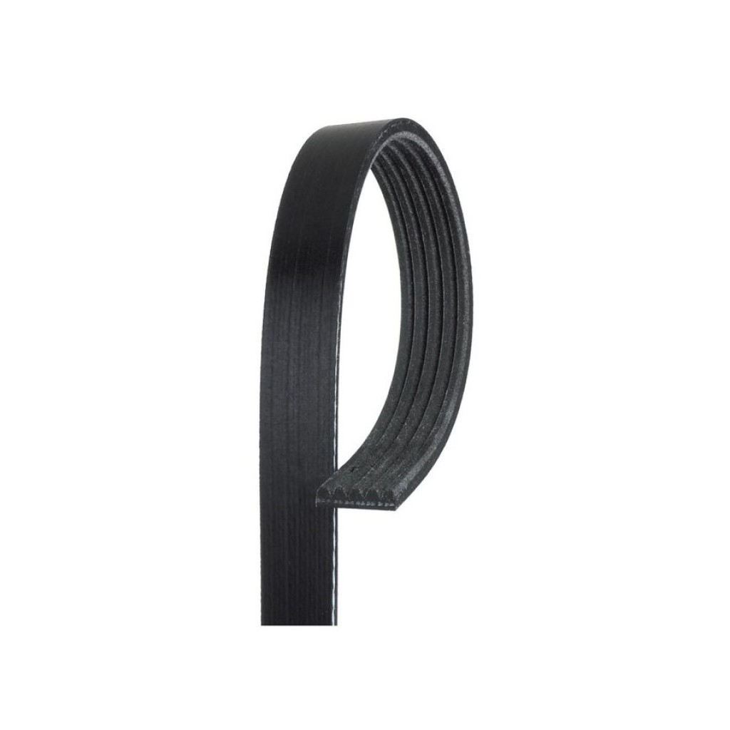 Genuine ACDelco For Audi R8 2008-2012 Standard V-Ribbed Serpentine Belt | Black
