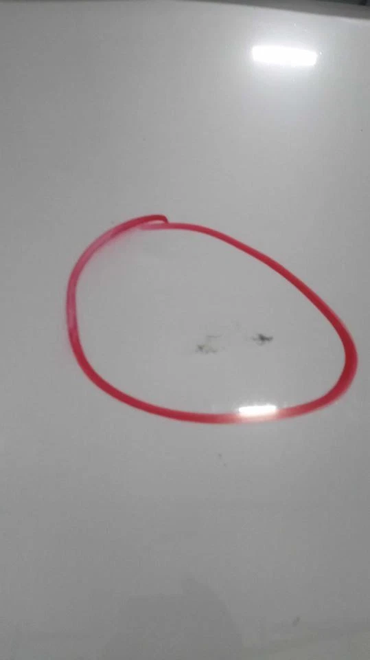 Capó para BMW 640i 551265 12-19 Foto 3 de 3