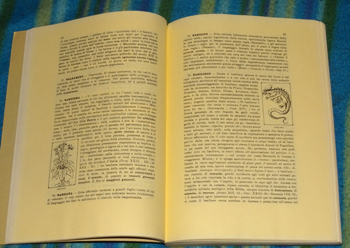 DIZIONARIO RAGIONATO DEI SIMBOLI G.CAIRO FORNI EDITORE 1979 - Foto 4 di 4