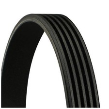 Continental Ctam Keilrippenriemen F20115908A F20118908A F80715908A 24881329