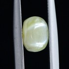 Bild 8 von 24