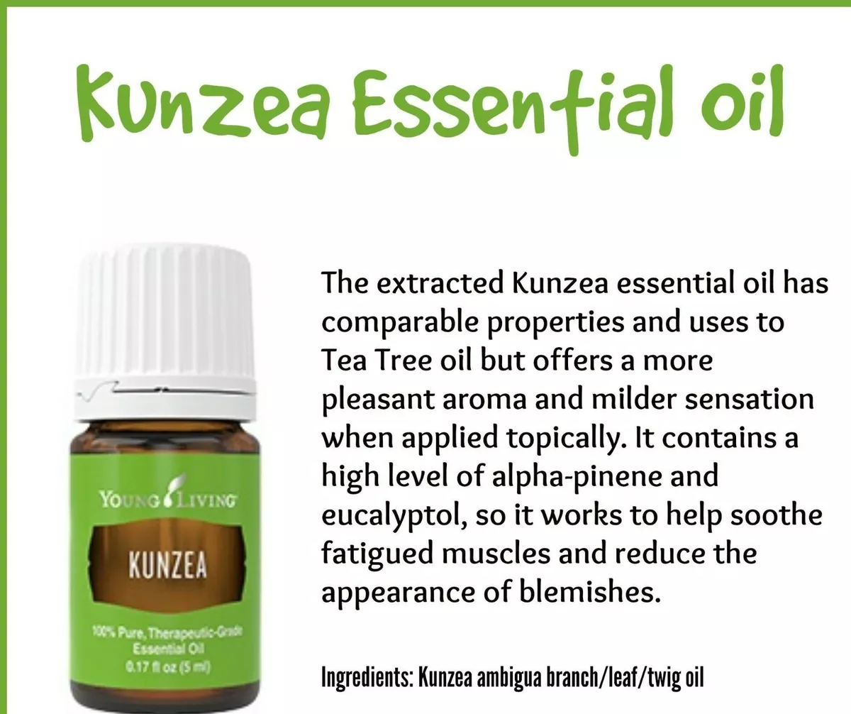 Kunzea 2024 essential oil