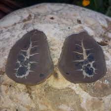 98 Gramm Septarie Paar Edelsteine Marokko NrY  Dragonegg PartnerStein Zen Garten