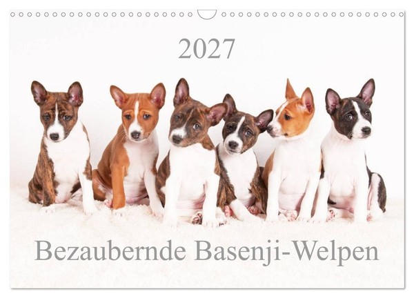 "Calendar 2027 · US Version · Adorable Basenji Puppies (Wall Calendar 2027 17\" ×"-image
