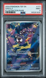 Gastly 177/162 Temporal Forces Illustration Rare