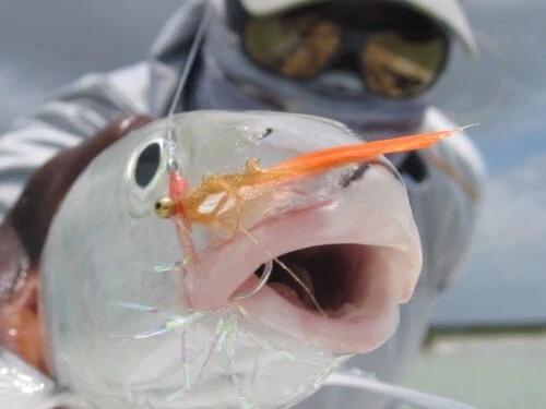 Andros Selección Especial Pez Hueso Talla 2 o 4 (12 Moscas) - ¡Ganchos Gamakatsu! Foto 3 de 3