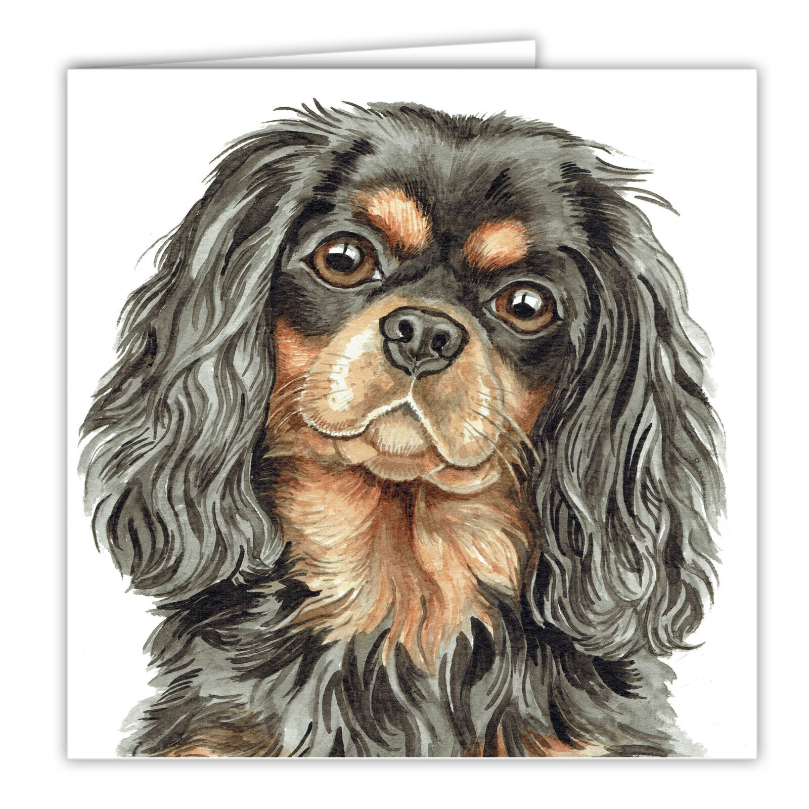 Black & Tan Cavalier King Charles Spaniel greetings card dog card DOGS Cavaliers