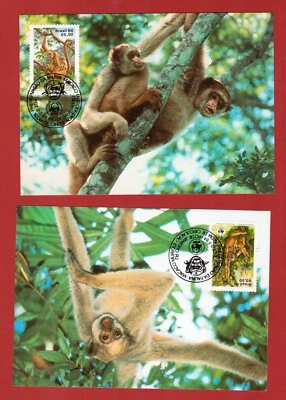 AFFE ** WWF KOMPLETTER SATZ ** 2 FDC, 2 MAXICARD + WWF BESCHREIBUNG - Bild 1 von 4