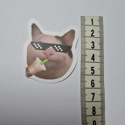 Cat Stick Meme Funny Cute Derp Silly Sticker Aufkleber Sammeln Geschenk Neu