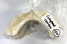 40 Coloplast 120700 Brava Elastic Barrier Strips