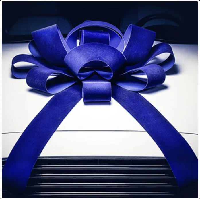 CarBowz Magnetic Velvet Car Bow Fully Assembled Large 4 ft Red Blue - Image 3 of 4