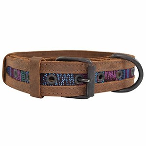 mayan dog collar