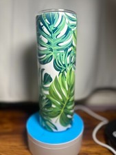 Monstera leaves with white background