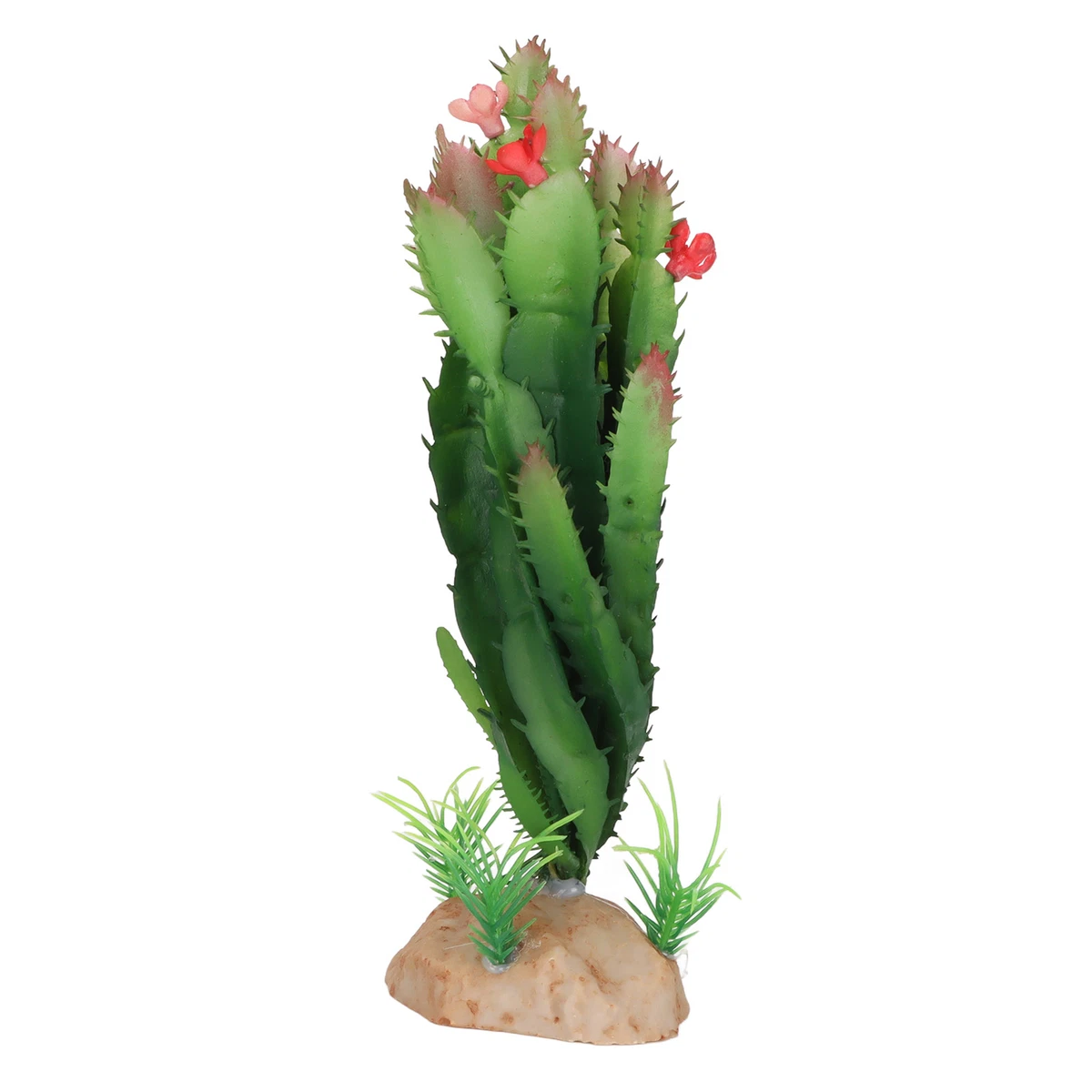 Vivarium accessories shop