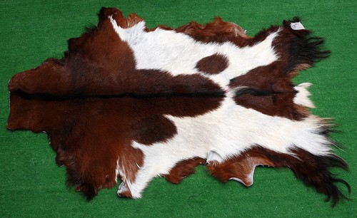 New Goat hide Rug Hair on Area Rug Size 34"x22" Animal Leather Goat Skin U-1853
