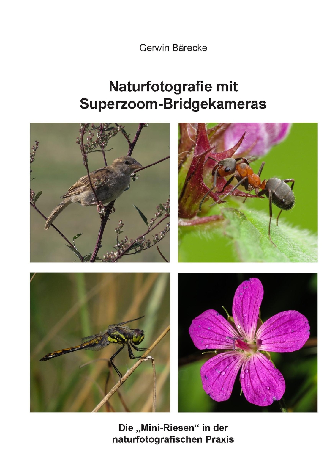 Thumbnail - Naturfotografie Mit Superzoom-bridgekameras | Buch | 9783738628296