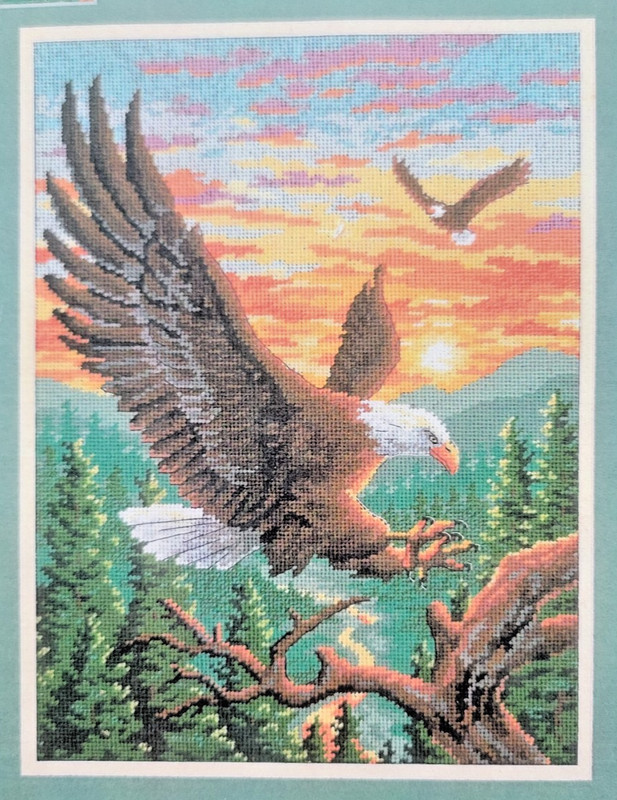 Dimensions Landing Bald Eagle 12×16 Needlepoint Kit 2494 PLEASE READ Description