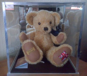 teddy bear display case