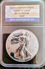 Reverse Proof American Eagle Silver Dollar 2006p