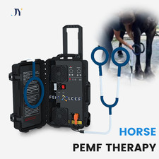 Equine PEMF Physio Magneto PMST Loop Magnetic Physiotherapy for Pain Relie