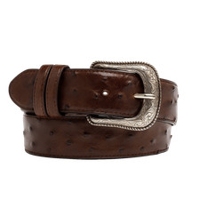 Cowtown Men's Chocolate Ostrich Print Belt H6073