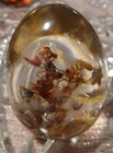Collectible Lucite Egg — photo 5