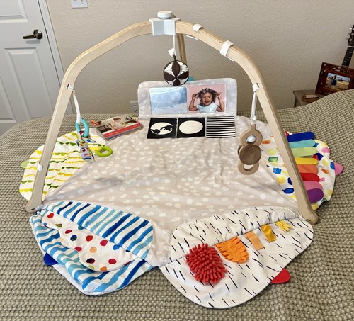The Play Gym