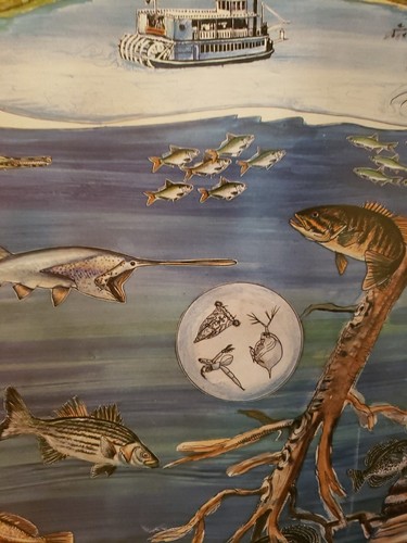 Vintage Tennessee Valley Authority Poster Water Resources The River Environment - Picture 7 of 13