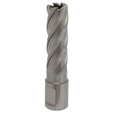 Image of Sealey Rotabor Cutter HSS �17mm - Cut Depth 50mm RBHSS17L