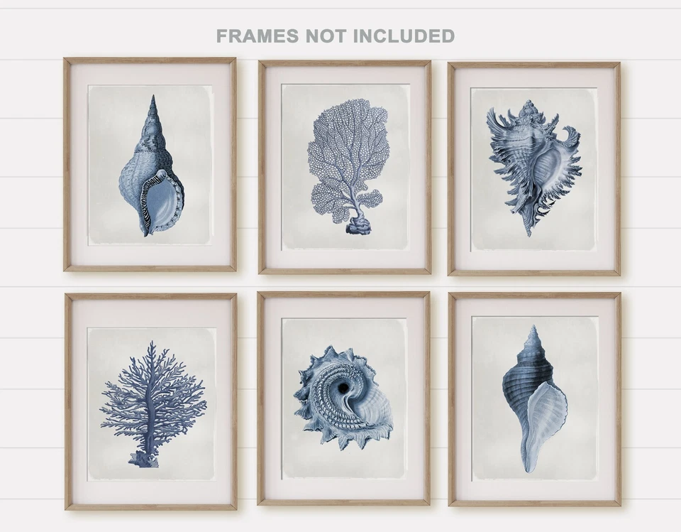Arte de pared costero de concha vintage, decoración de playa, azul marino, arte de playa, conjunto de impresiones de concha Foto 2 de 4