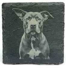 Pit Bull Laser Engraved Slate Coaster Set of 4