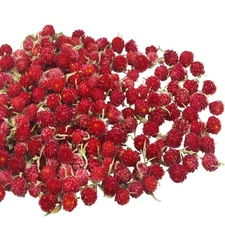 220 Pcs Red Globe Amaranth Dried Flowers Heads, Gomphrena Globosa, Crafts, DIY