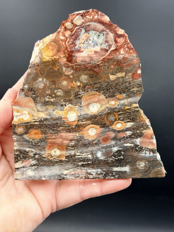 Orbicular Galaxy Rhyolite. Colorful. Nice!