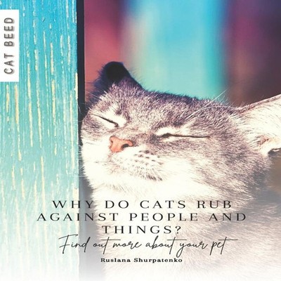 Why do cats rub against people and things? Find out more about yo