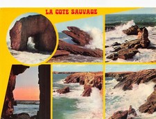 56 QUIBERON LA COTE SAUVAGE