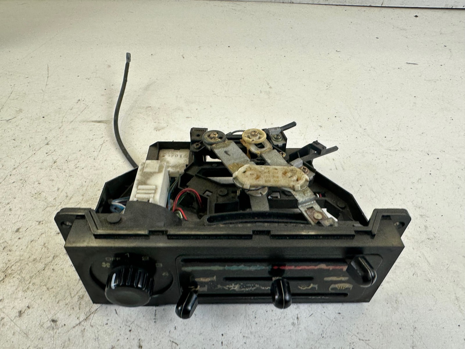 Picture 3