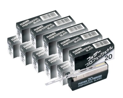 FEATHER Professional Blade 替刃 s-l400.jpg